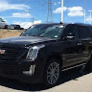 Meet your Posher, Elvira